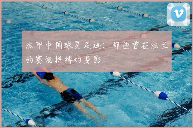 法甲中国球员足迹：那些曾在法兰西赛场拼搏的身影